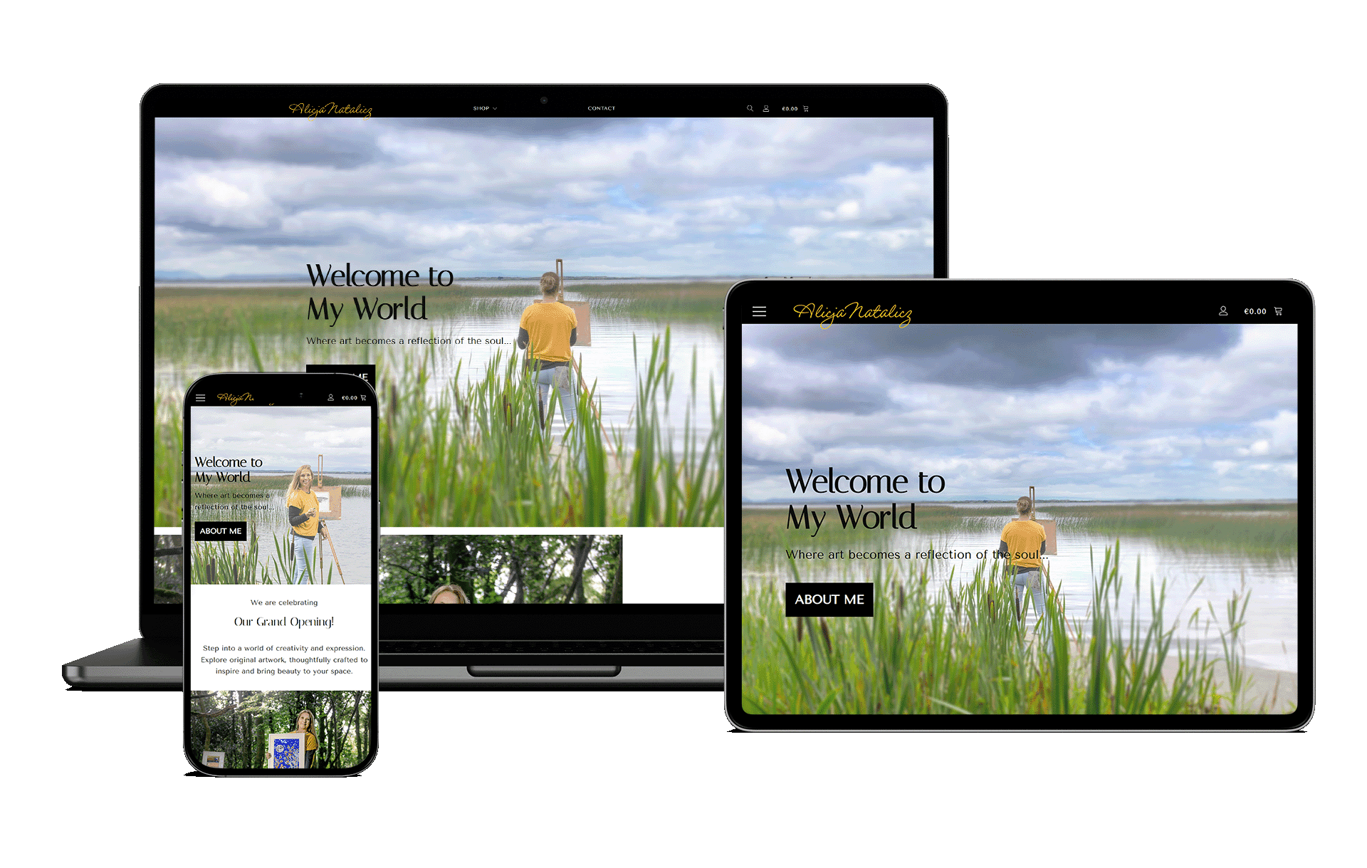Alicja Natalicz Art homepage — WooCommerce eCommerce web design and development by Netboost for a Galway-based contemporary visual artist selling original paintings and art gifts online